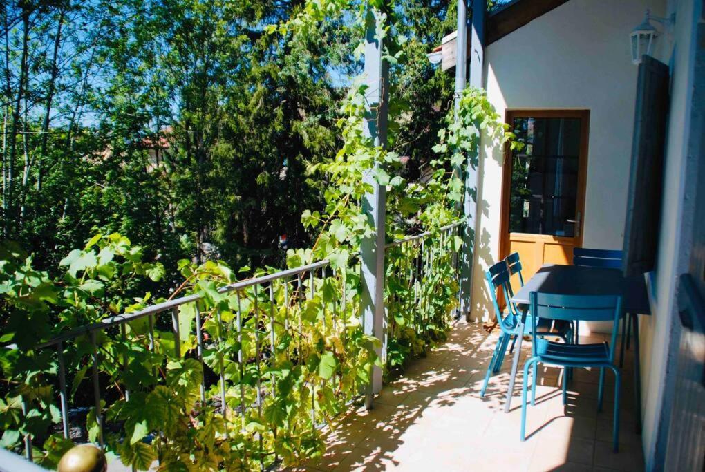 Maison 3 Chambres Au Lac D'Annecy, 30Min La Clusaz Menthon-Saint-Bernard Εξωτερικό φωτογραφία