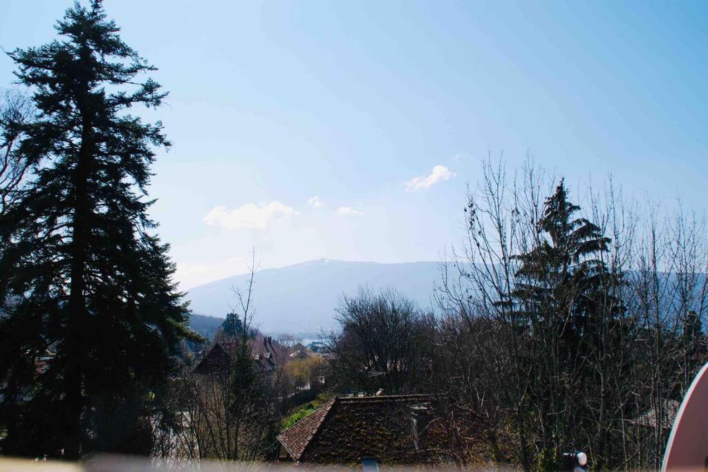 Maison 3 Chambres Au Lac D'Annecy, 30Min La Clusaz Menthon-Saint-Bernard Εξωτερικό φωτογραφία