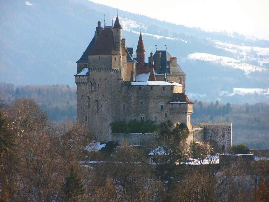 Maison 3 Chambres Au Lac D'Annecy, 30Min La Clusaz Menthon-Saint-Bernard Εξωτερικό φωτογραφία